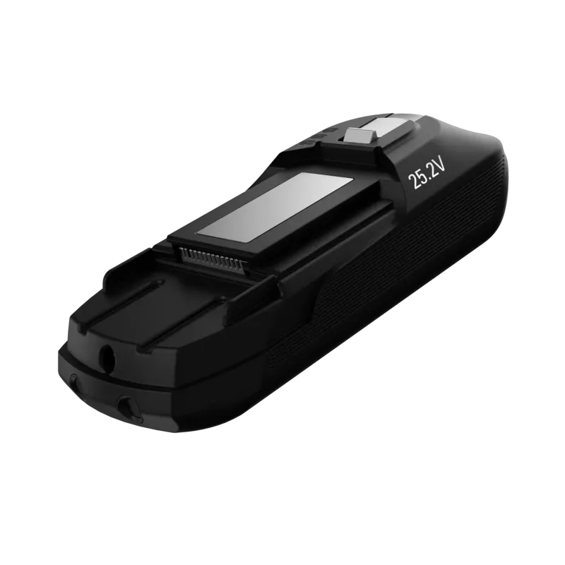 Batterie Rowenta X-Force 25,2V Lithium-ion ZR009701 – Neuve